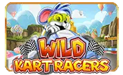 Wild Kart Racers